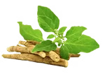 గోఖ్రూ